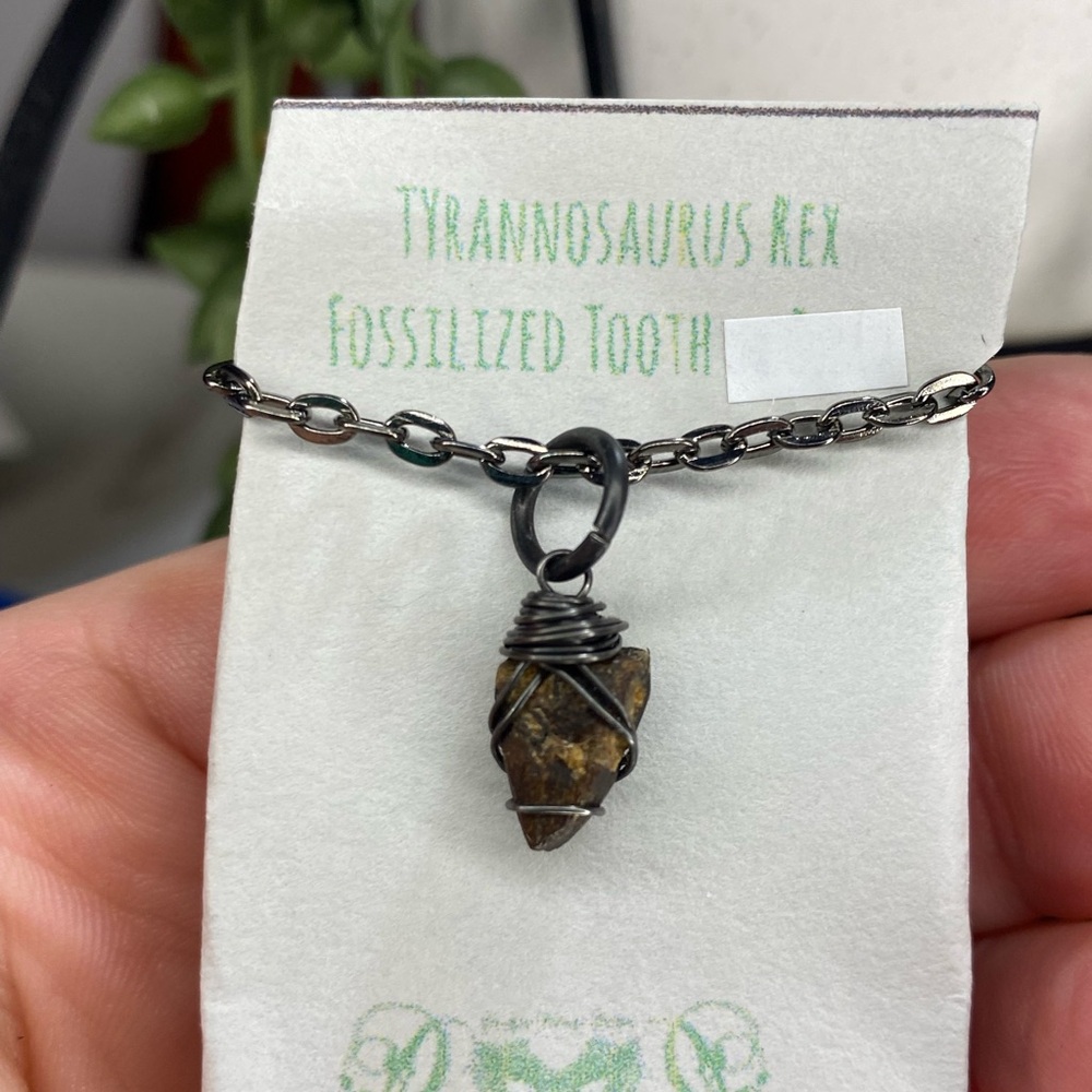 Real Fossilized Tyrannosaurus Rex Tooth Pendant Necklace - gunmetal Chain